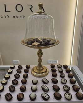 מארז 11