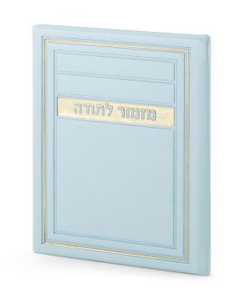 מזמור לתודה דגם מיתר מנטה