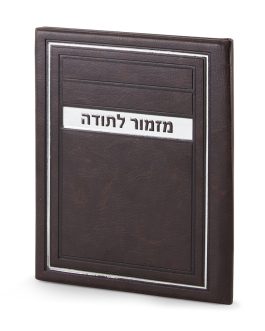 מזמור לתודה דגם מיתר חום