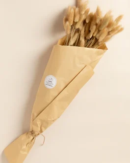 זר זנב ארנב טבעי
